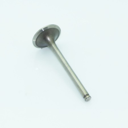 LOMBARDINI-EINLASSVENTIL: LDW 1204/T,LDW 1204,LDW 502,LDW 502 CITYCAR AL,LDW 502 CITYCAR P/F,LDW 602,LD