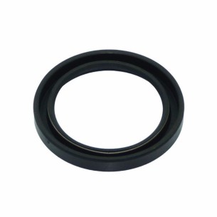 RETEN CIGÜEÑAL VOLANTE LOMBARDINI LDA 672-832