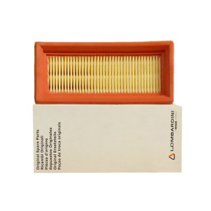 FILTRO AIRE LOMBARDINI LGA 184, 225, 226 AND ACME A220B