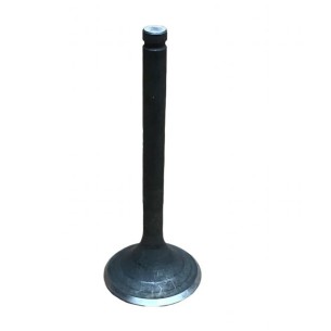 LOMBARDINI EXHAUST VALVE: 25LD425-2