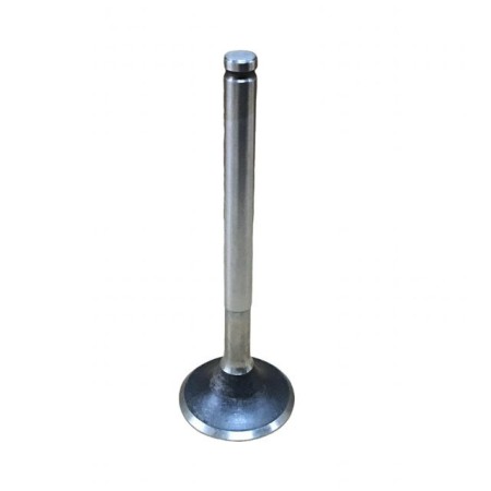 LOMBARDINI AUSPUFFVENTIL: LDW 1003,LDW 1404,LDW 702,LDW 1404/P,LDW 1404/P EGR ET,LDW_702/P