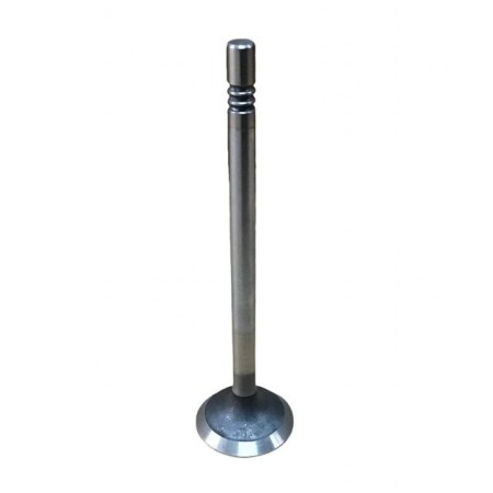 SOUPAPE D'ÉCHAPPEMENT LOMBARDINI: LDW 442