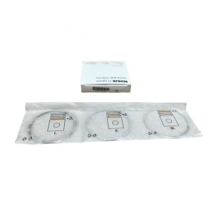 LOMBARDINI D80 SEGMENTSATZ: 25LD330-2