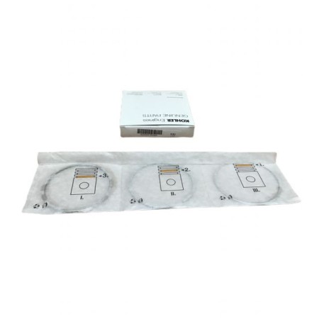 CONJUNTO DE SEGMENTOS LOMBARDINI D80: 25LD330-2