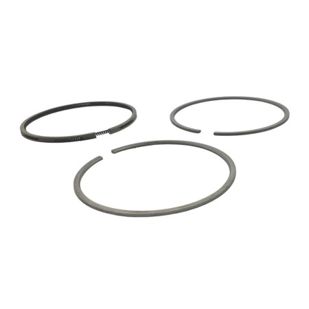CONJUNTO DE SEGMENTOS +1,00 LOMBARDINI: 12LD435-2