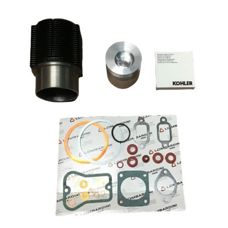 EQUIPO MOTOR LOMBARDINI 5LD 825 FALDA DE 110mm VARILLAS CON MUELLES