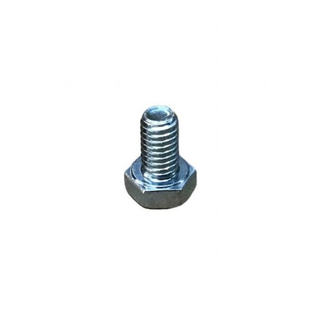 VIS M 6X1X10 LOMBARDINI ED0017600010-S