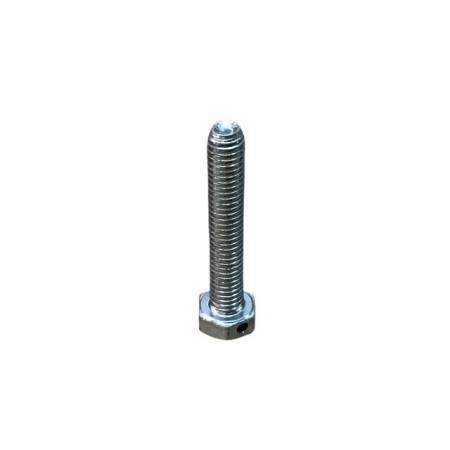 VIS M 6X1X35 LOMBARDINI ED0017600280-S