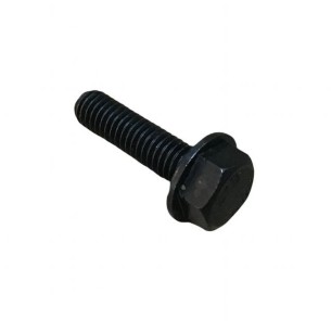 TORNILLO LOMBARDINI ED0017601620-S
