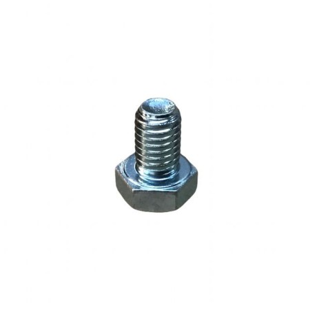 SCREW M 8X1.25X12 LOMBARDINI ED0017700010-S