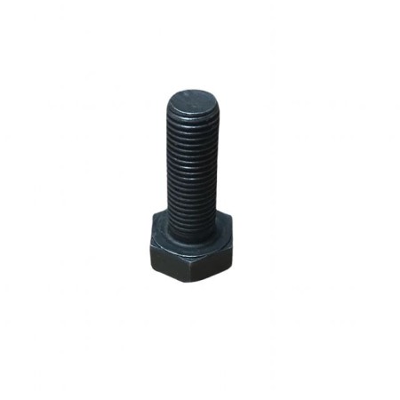 SCHRAUBE M 10X30 LOMBARDINI ED0017800970-S