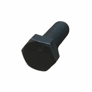 LOMBARDINI SCREW ED0018050250-S