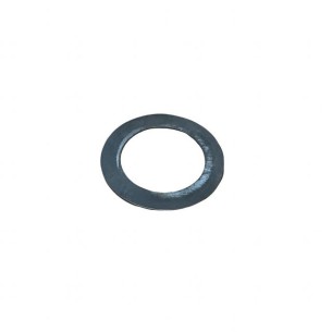 LOMBARDINI-SCHEIBE ED0034300670-S