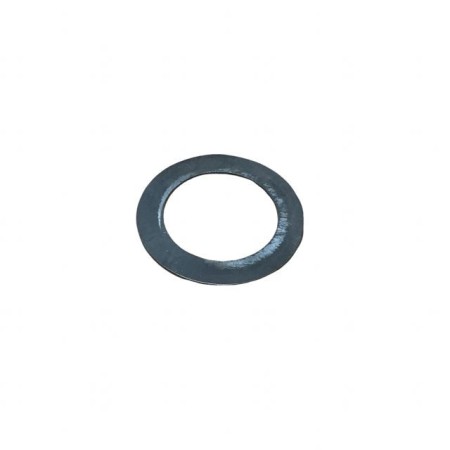 LOMBARDINI DISC ED0034300670-S