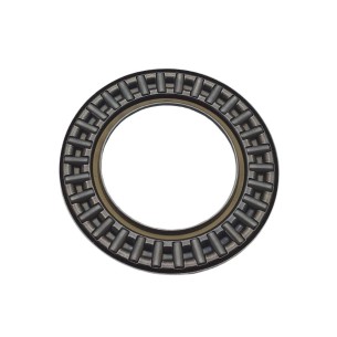 LOMBARDINI-LAGER ED0031101650-S