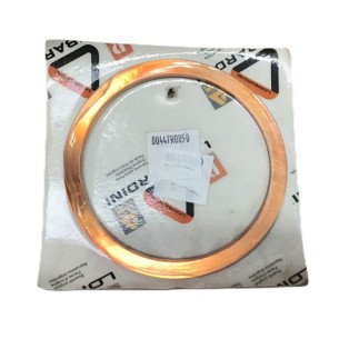 LOMBARDINI-DICHTUNG ED00447R0850-S