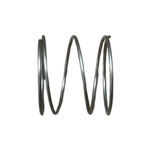 LOMBARDINI SPRING ED0056552430-S