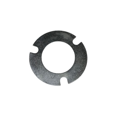LOMBARDINI-SCHEIBE ED0063200360-S