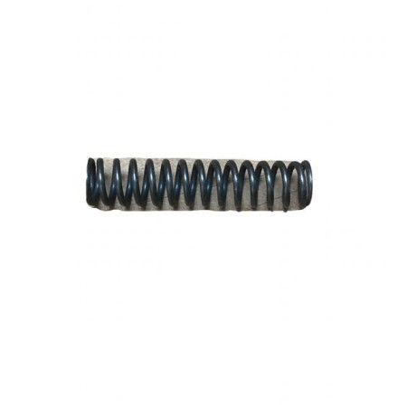 RESSORT LOMBARDINI ED0057550490-S