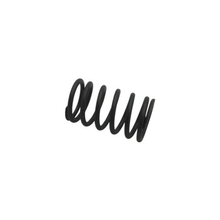 LOMBARDINI VALVE SPRING ED0057551250-S