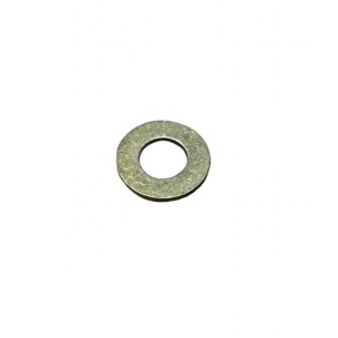 LOMBARDINI WASHER ED0076250510-S