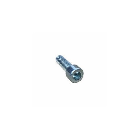 SCHRAUBE M 6 X 20 LOMBARDINI ED0097300120-S