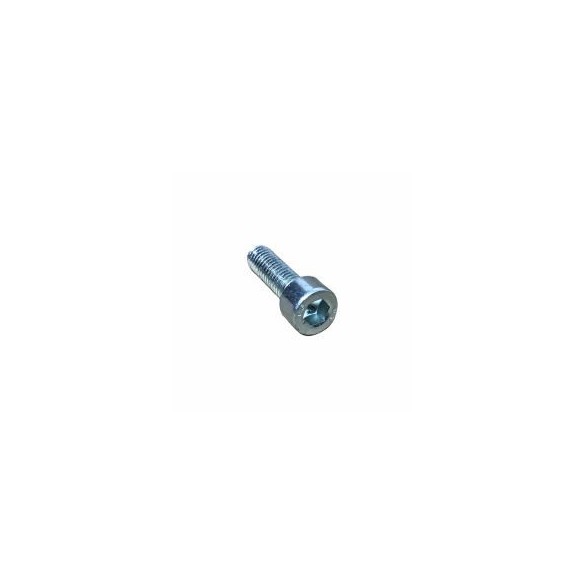 SCREW M 6 X 20 LOMBARDINI ED0097300120-S