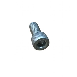 TORNILLO M 8 X 20 LOMBARDINI ED0097300260-S
