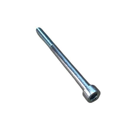 LOMBARDINI-SCHRAUBE ED0097302380-S