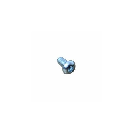 VIS M 6 X 12 LOMBARDINI ED0097303190-S