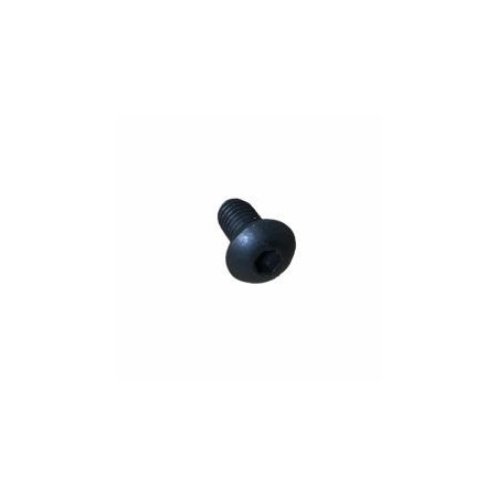 SCHRAUBE M 5 X 10 LOMBARDINI ED0097303400-S