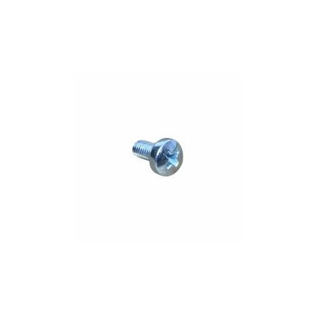 PARAFUSO M 5 X 10 LOMBARDINI ED0097900280-S
