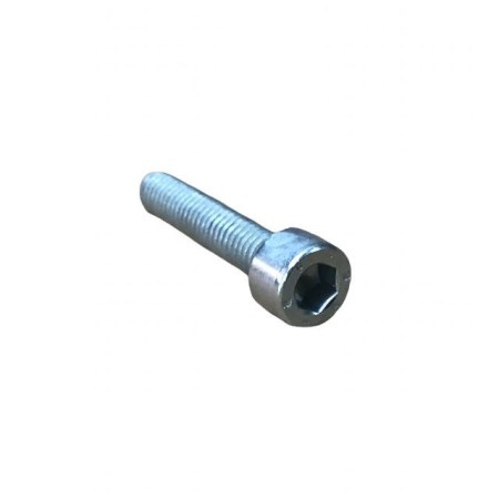 SCREW M 6 X 30 LOMBARDINI ED0097300150-S