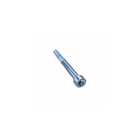 SCREW M 6 X 60 LOMBARDINI ED0097301100-S