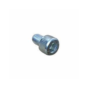SCHRAUBE M 8 X 12 LOMBARDINI ED0097310300-S
