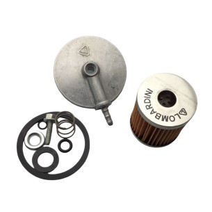 KIT DE FILTRO DIESEL TANQUE LOMBARDINI 3LD, 4LD, 5LD, 9LD, 12LD