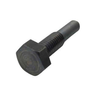 CENTRAL SUPPORT SCREW (SHORT) LOMBARDINI 9LD
