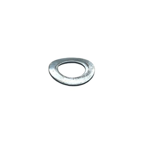 RONDELLE D,8mm LOMBARDINI ED0075550290-S