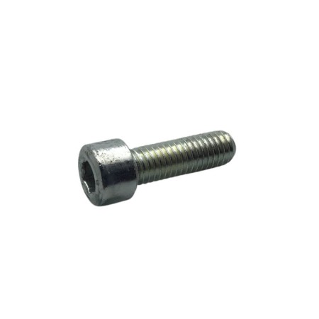 TORNILLO M 8 X 25 LOMBARDINI ED0097301000-S