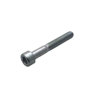 SCREW M 6 X 40 LOMBARDINI ED0097320160-S