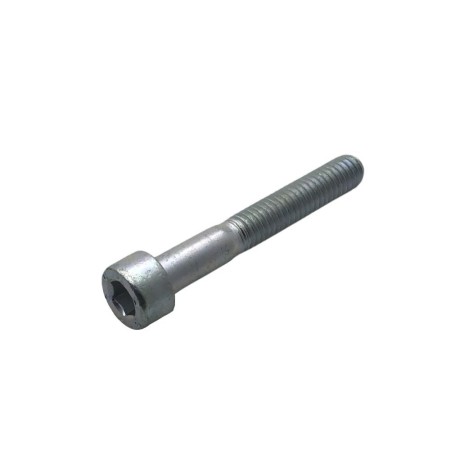SCREW M 6 X 40 LOMBARDINI ED0097320160-S