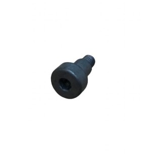 PARAFUSO M 3 X 10 LOMBARDINI ED0098652020-S