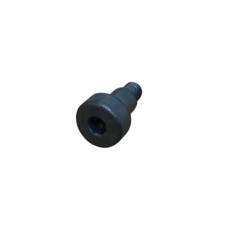 VIS M 3 X 10 LOMBARDINI ED0098652020-S