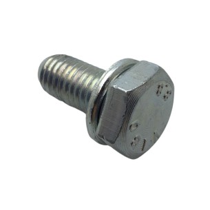 TORNILLO M 10X1,25X22 LOMBARDINI ED0017800040-S