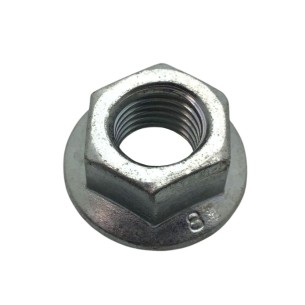 LOMBARDINI NUT ED0032030150-S
