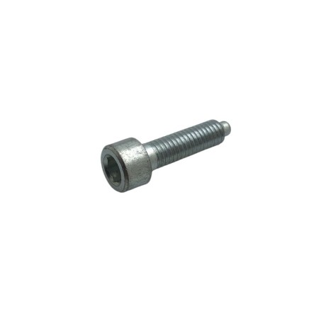 VIS M 6 LOMBARDINI ED0097301980-S