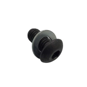 SCHRAUBE M 5 X 10 LOMBARDINI ED0097303250-S