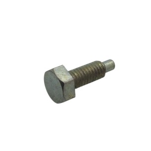 LOMBARDINI SCREW ED0098200800-S