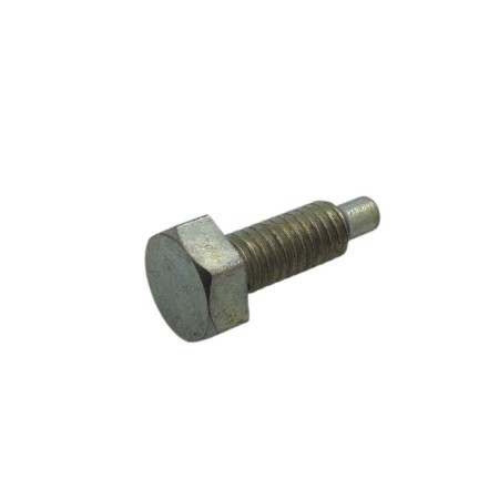 LOMBARDINI-SCHRAUBE ED0098200800-S
