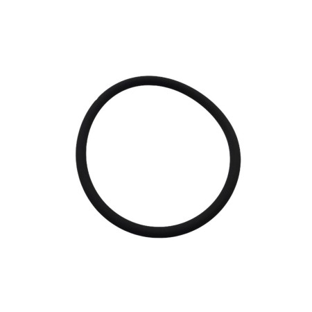 LOMBARDINI O-RING GUMMI ED0012002650-S